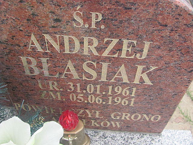 Andrzej Błasiak  1961 Strzelce Wielkie - Grobonet - Wyszukiwarka osób pochowanych
