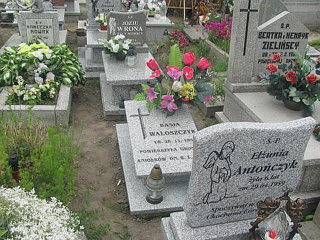 Grób Barbara Waloszczyk