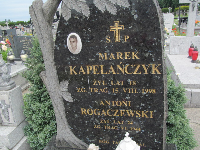 Antoni Rogaczewski 1920 Strzelce Wielkie - Grobonet - Wyszukiwarka osób pochowanych