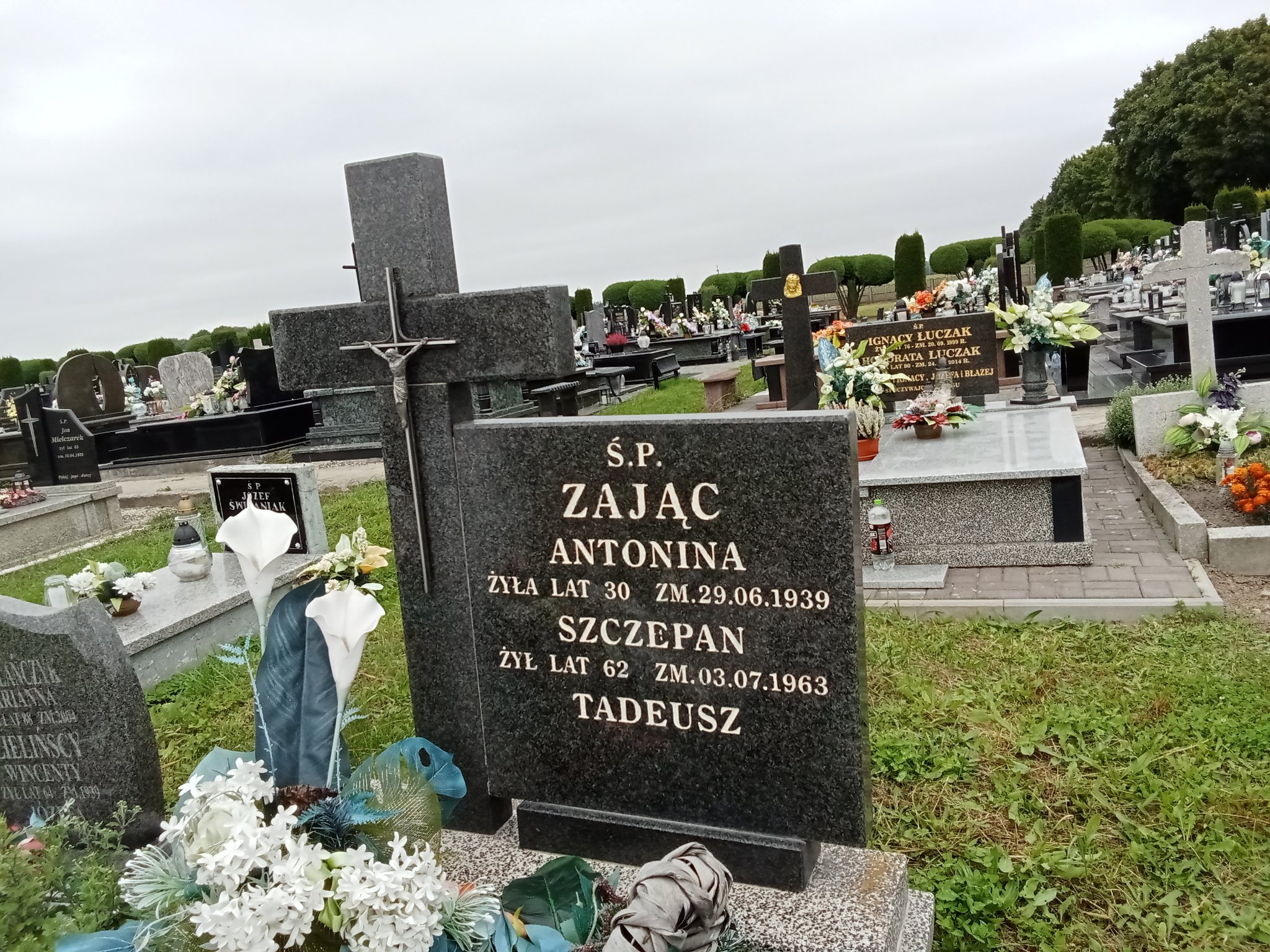 Antonina Zając 1909 Strzelce Wielkie - Grobonet - Wyszukiwarka osób pochowanych