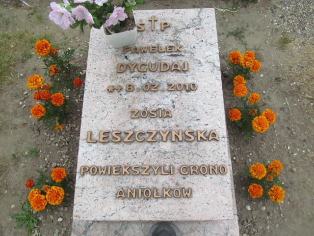 Zofia Leszczyńska 1939 Strzelce Wielkie - Grobonet - Wyszukiwarka osób pochowanych